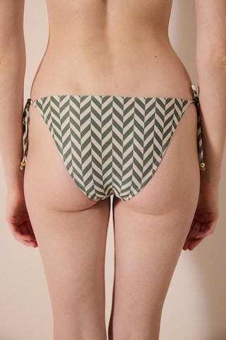 Penti Bambu Simli Çok Renkli Bikini Altı Plmhln6z24ıy-mıx
