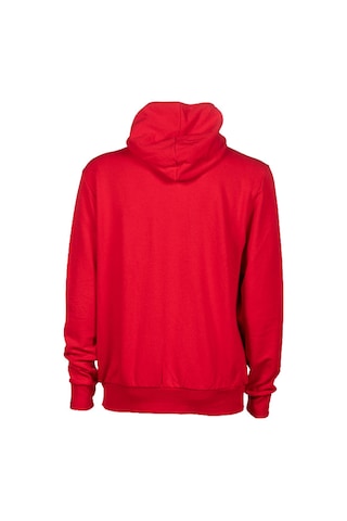 Arena Team Hooded Jacket Panel Unisex Kırmızı Günlük Stil Ceket 004906400
