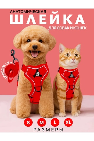 Tori Küçük Ve Orta Irklar İçin Tasmalı Köpek Kayışı Ve Kedi Şeridi 451340234