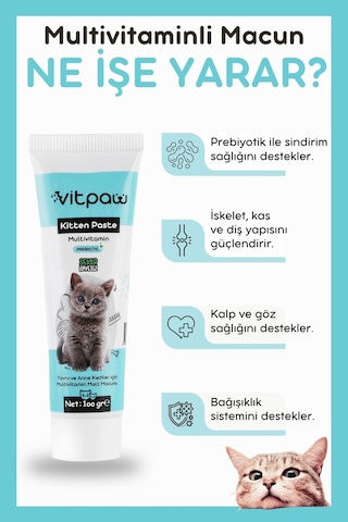 Vitpaw Kitten & Mom Paste