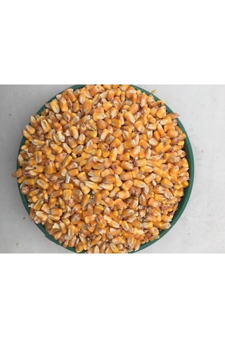 Tane Mısır 5 Kg Tüm Mısır Yemlik Mısır Hayvan Yemi