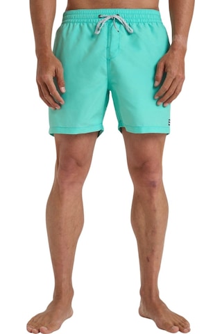 Bıllabong Billabong All Day Lb Erkek Yeşil Volley Short 6516 Yeşil