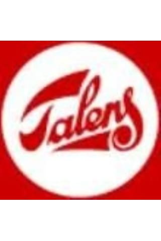 Van Gogh 24 Renk Fırçalı Taş Suluboya Seti