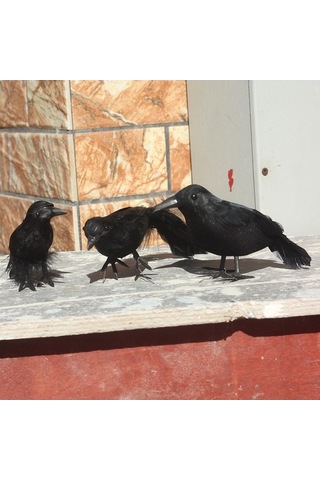 Xianwen Geeroyoo 3 Adet El Yapımı Siyah Tüylü Karga Süsü -