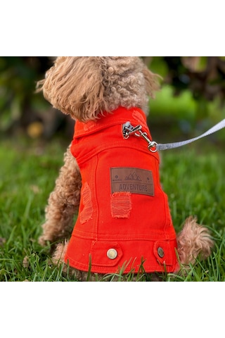 Yeni - Orange Renk Kot Köpek Yeleği - Küçük Irklar İçin Şık Ve Ra