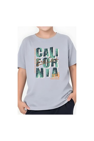 Panios Kids Cali Baskılı Erkek Çocuk Yuvarlak Yaka Kısa Kollu T-shirt Gri