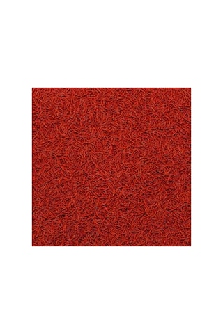 Red Mico Colour Sticks Kan Kurdu İçerikli Ekstrüde Balık Yemi 100 Ml 32 Gr