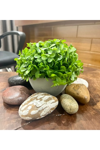 Modern Gri Saksılı Yapay Yeşil Bitki - Yaşam Alanınıza Doğal Dokunuş 13x17 Cm Yeşil