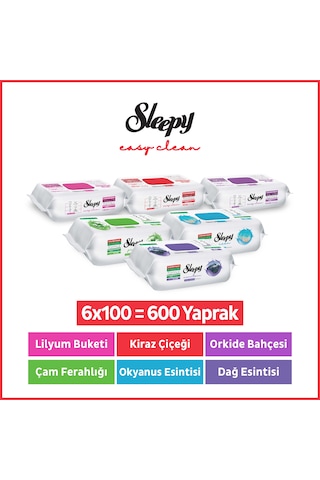 Sleepy Easy Clean Yüzey Temizlik Havlusu & Mendili Doğa-çiçek Serisi 6x100 Karma Paket Beyaz