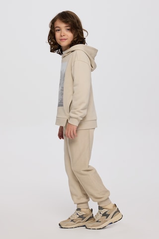 Panço Erkek Çocuk Kapüşonlu Taş Sweatshirt Gri
