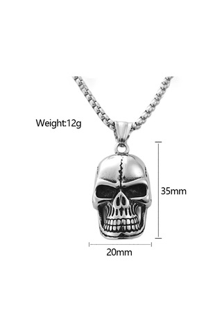 Forentina 315l Çelik Kurukafa Erkek Kolye - 60cm Zincir Ps3593 Gümüş