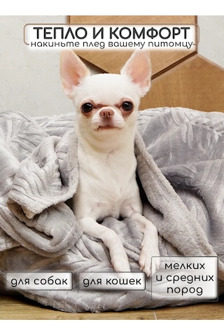 Kajfusi Köpekler, Kediler Ve Diğer Hayvanlar İçin Battaniye 344905100