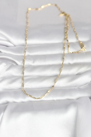 Cm 14k Gold Renk İnce Ataç Zincir Model 60 Cm Kadın Kolye Altın - Beyaz