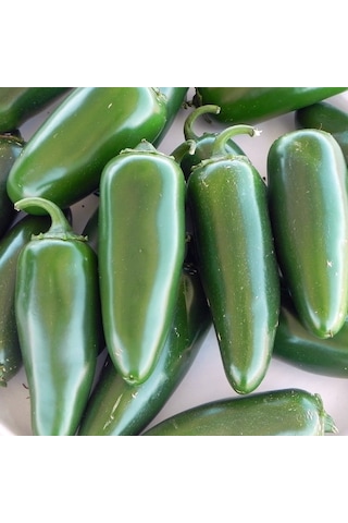 Jalapeno Biber Fidesi 6 Adet
