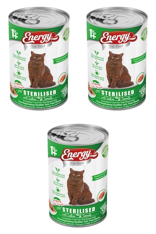 Energy Kısırlaştırılmış Somon Etli Konserve Yetişkin Köpek Maması 3 x 400 G