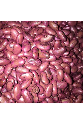 Perolar UzunEnli Erkenci Sırık Fasulye Tohumu 500 GR İlaçlı