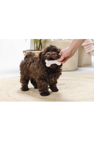 Beeztees Yavru Köpek Diş Oyuncağı, İçi Dolu Halka, Kauçuk, Pembe, 10cm