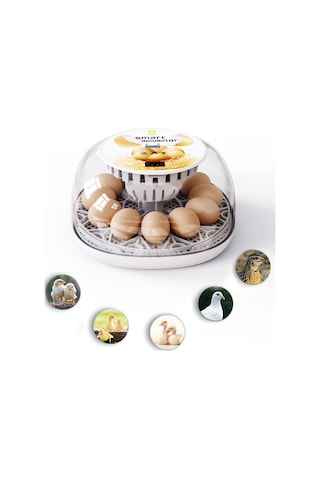 Geeksen Yumurta Kuluçka Makinesi, Otomatik Yumurta Çevirme, Otomatik Su Doldurma, Otomatik Sıcaklı Kuluçka Makinesi