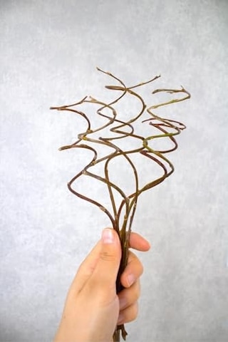 Burgulu Dal, 10 Adet, 20-30 Cm, Doğal, Dekoratif Vazo Süsü, Yapay Çiçek Diğer