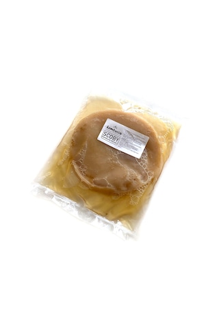 Kombuçça Kombucha Mantarı Kombuça Scoby Kombu Çayı Kambuça Kültürü Mayası 350 G