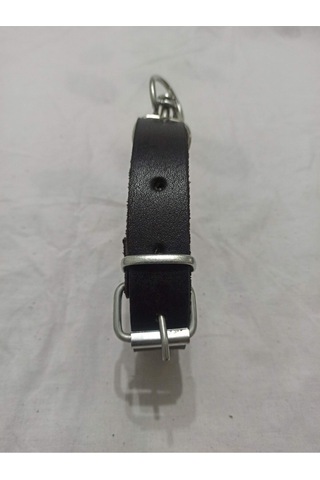 Kozak Küçük Irk Deri Köpek Tasması Boy 50 CM En 3 CM