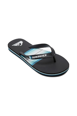 Quiksilver Quıksılver Molokaı Resın Tınt Youth Kvj1 Siyah