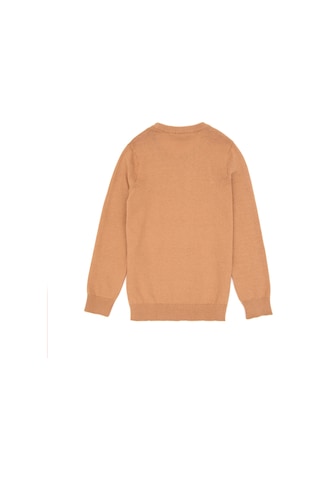 U.S. Polo Assn. Erkek Çocuk Camel Basic Bisiklet Yaka Kazak 50288890-VR015