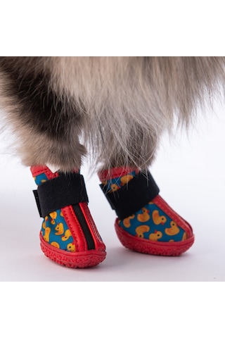 Pawstar Ducks Köpek Ayakkabısı