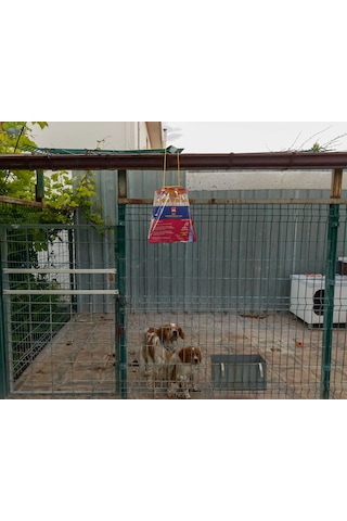 2 ADET FLY JAIL XL – POŞET KARASİNEK TUZAĞI