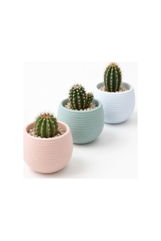 Dekoratif İskandinav Mini Saksı Seti, 8x7 Cm, Pembe, Plastik, Kaktüs Ve Sukulent Bitkiler İçin, 3'lü Diğer