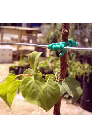 Plastik Özel Üretim Fidan Bağlama Ipi 10 Fidan Için