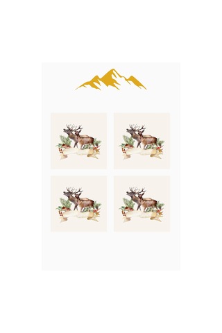 Dijital Baskılı Yumuşak Dokulu 4 Lü Kırlent Kılıfı Takımı 43x43 Cm Krl0055 Renkli