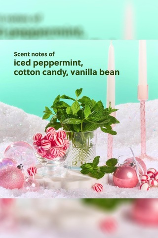 Tree Hut Merry Mint Vücut Spreyi 177ml