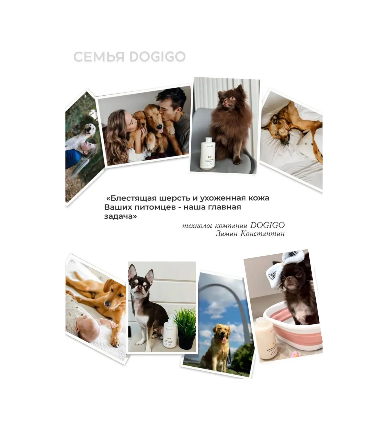 Dogıgo Beyaz Köpekler İçin Sararma Karşıtı Profesyonel Şampuan 223106027