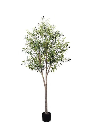 Yapay Zeytin Ağacı Lüx 180cm Doğal Gövdeli Gerçek Görünümlü Yapay Ağaç