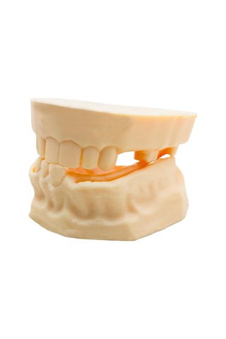 Barışhan Medikal Silikon Çene Diş Dikiş Modeli Ortodontik Alt Üst Çene Periodontal Sütür Eğitim Modeli-2