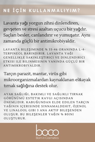 Boco Born In Cosmetics %100 Saf Lavanta + Tarçın Uçucu Yağı 10 + 5 ML