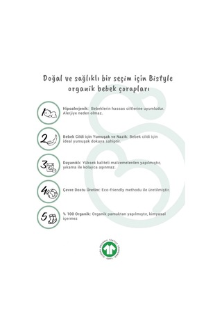 Eng Nessiworld Bistyle 5'li Penye Soket Kutulu Basic Çorap 10131 Pudra Çok Renkli