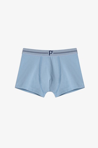 Penti Erkek Çocuk Mavi Tonlu 3lü Boxer