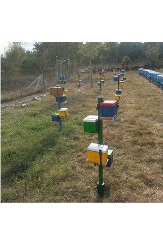 Plastik Ana Arı Çiftleştirme Kutusu 3 Çerçeveli 02500