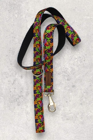 Köpek Tasma Set- Gövde Tasması + Gezdirme Kayışı Karışık 3-m
