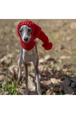 Elmpaly Gri L Boyutta Sevimli Evcil Hayvan Şapkası, Sıcak Örgü Şapka