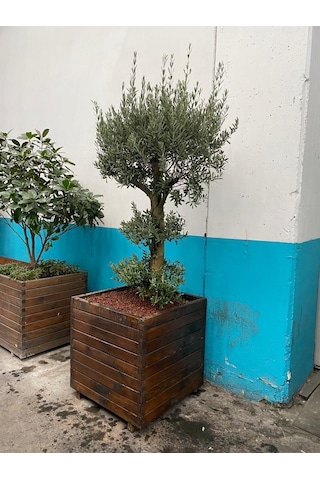 Kalın Ahşap Saksı 80x80 Cm Kare Dış Mekan Bitki Saksısı