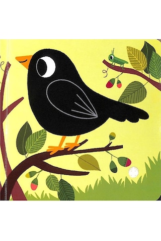 Nosy Crow Listen To The Birds Sesli Kitap