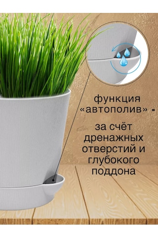 Interm Menekşeler, Sukulentler Ve Kaktüsler İçin Küçük Çiçek Saksısı 211028815