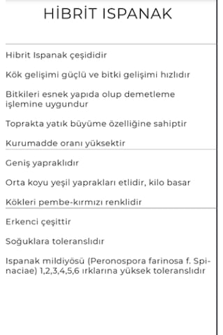 Ispanak Tohumu Catrina 10 Kg