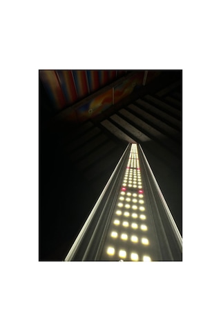 Bitki Led Aydınlatma, Sera, Hidroponik Bitki Aydınlatma, Sera Led Aydınlatma - B-85