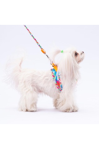 Pawstar Mosaic Leash Kedi Köpek Sevk & Gezdirme Kayışı Köpek Uzatma Tasması Mavi