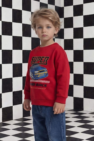 Defacto Erkek Bebek Bisiklet Yaka Baskılı Sweatshirt G6139a526sprd79 Kırmızı-rd79