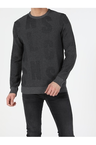 Colin's Slim Fit Bisiklet Yaka Erkek Antrasit Kazak CL1051569_Q1.V1_ANT